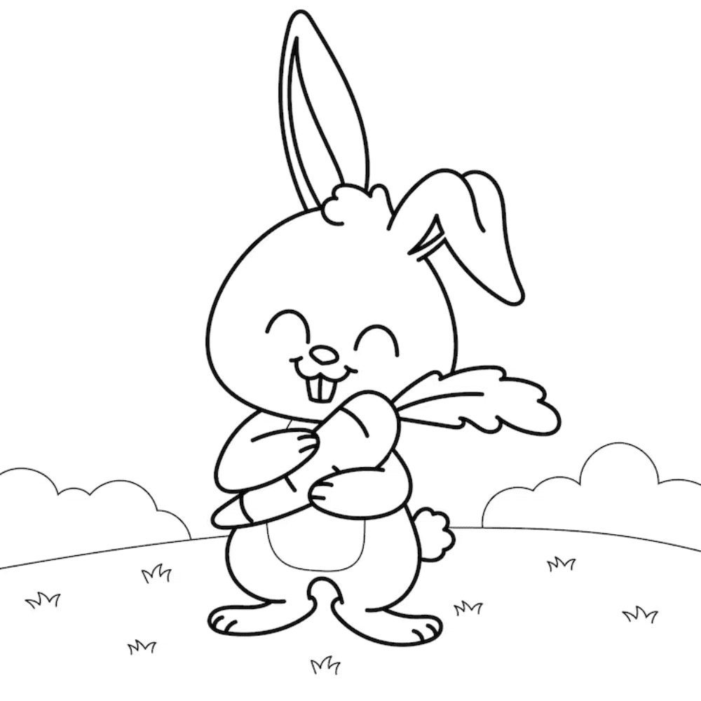 Rabbit coloring book