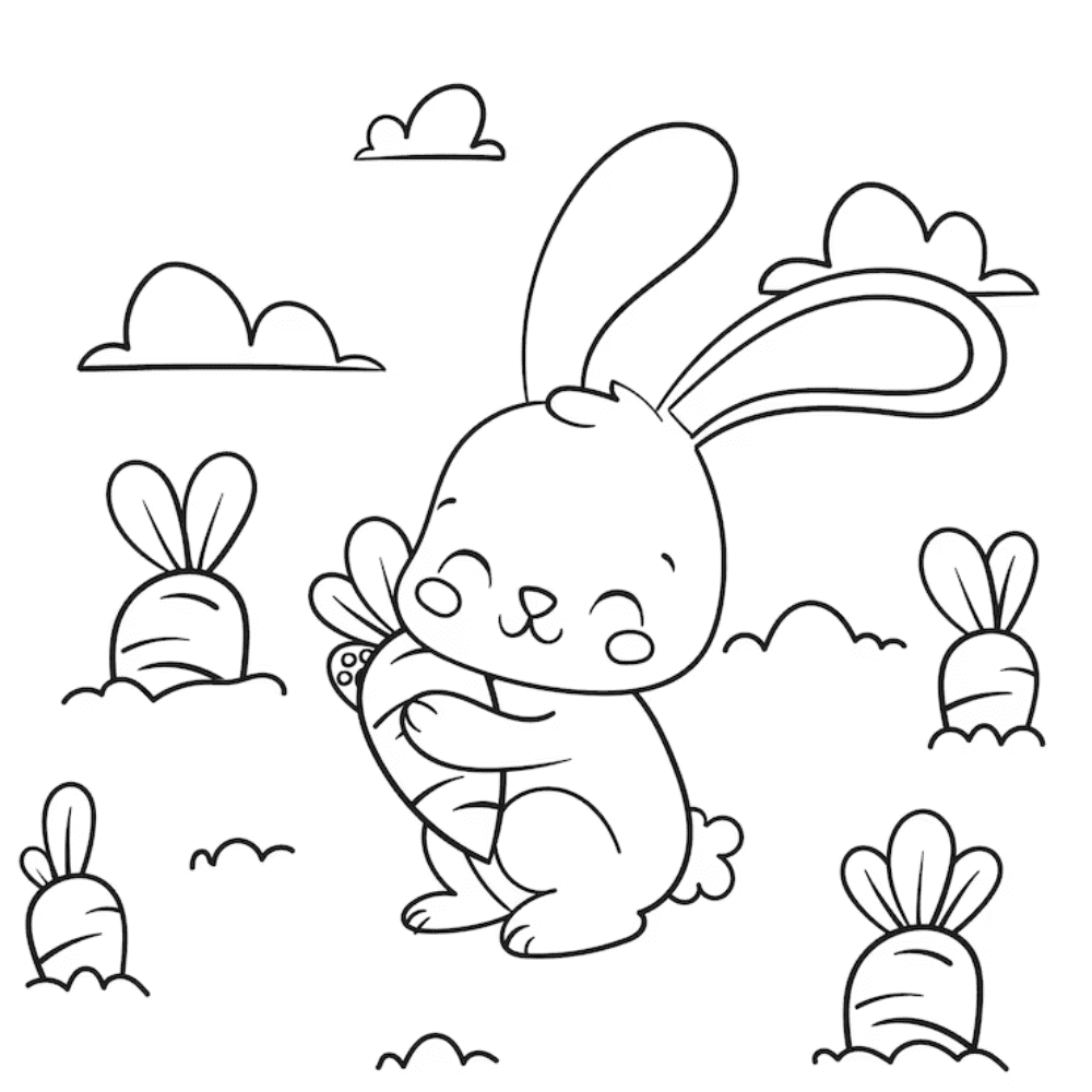 Rabbit coloring book - Toon Book - Sách truyện AR